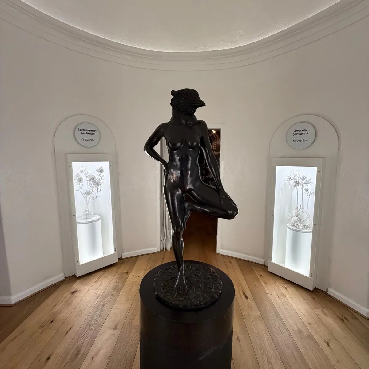 Salsify at the Roundhouse