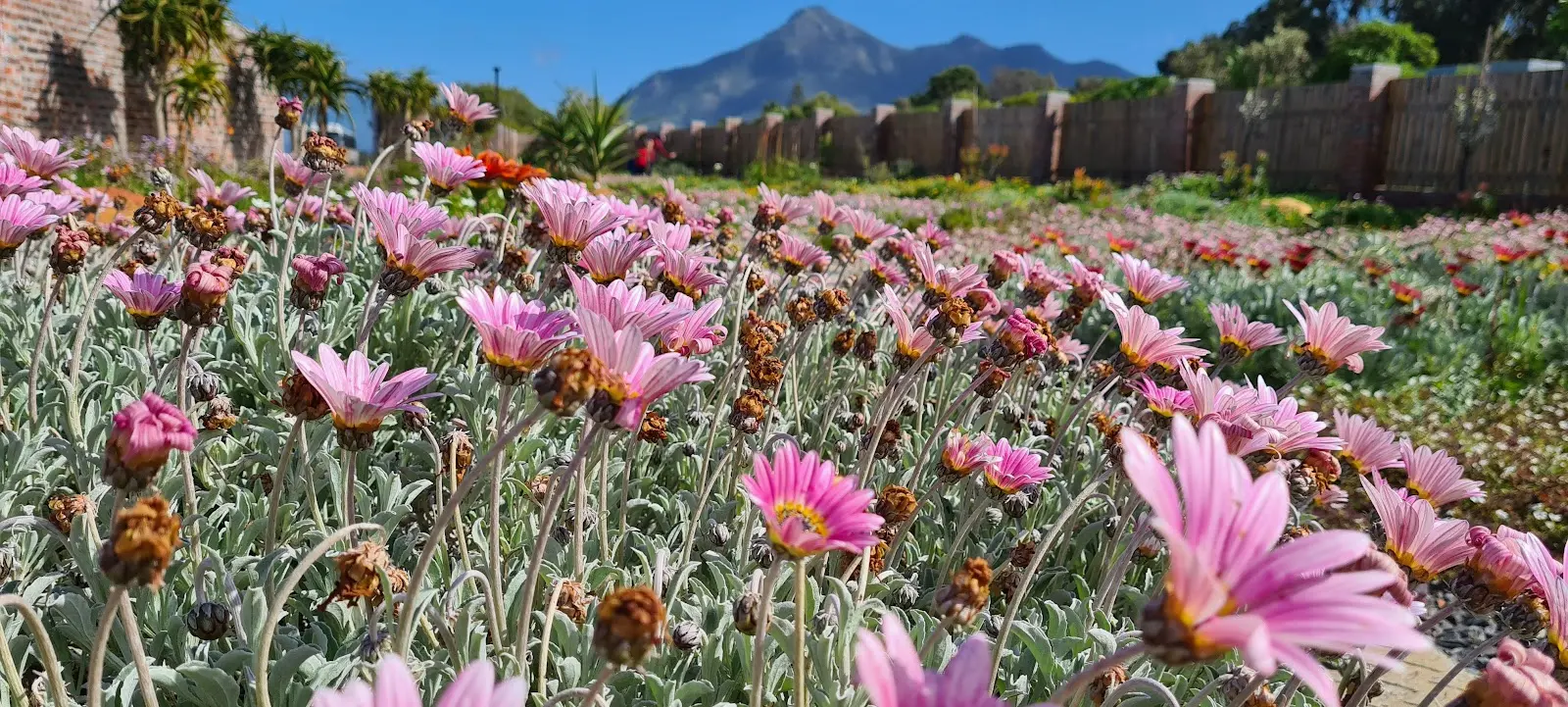 Noordhoek Art Point, photo 6
