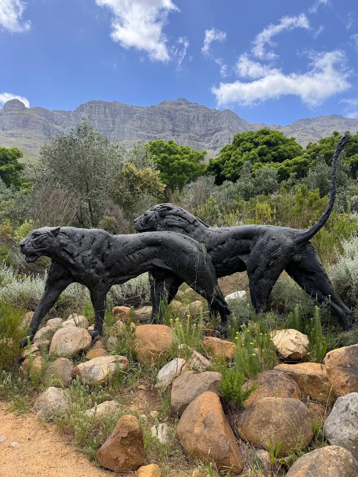 Dylan Lewis Studio & Sculpture Garden