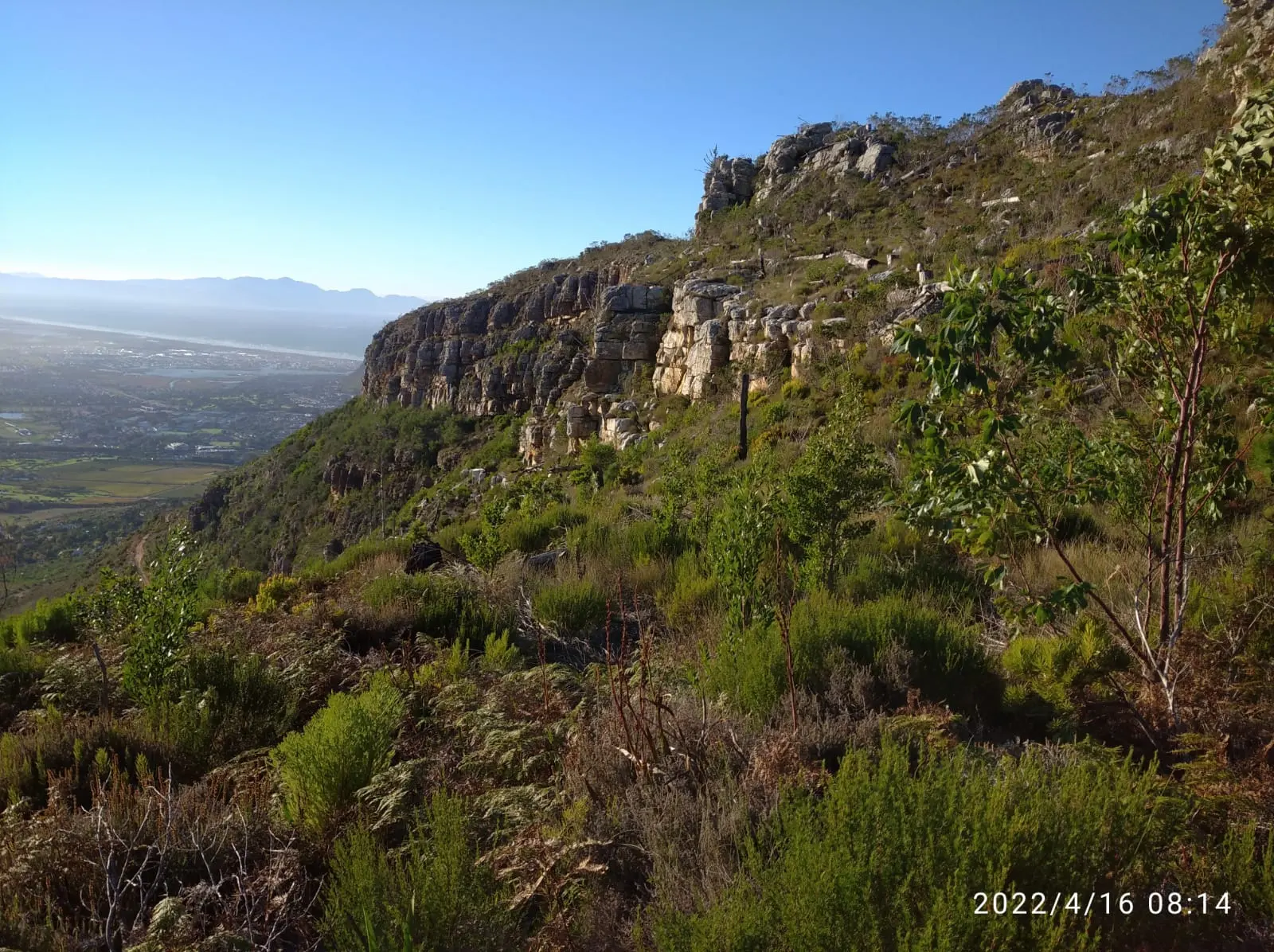 Silvermine Nature Reserve, photo 5