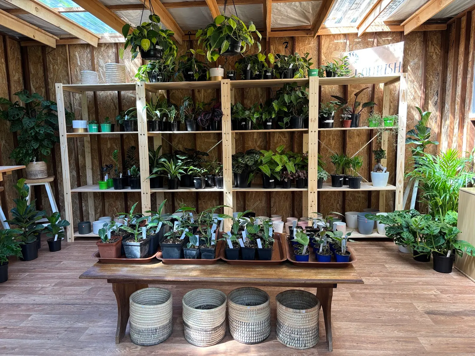 Flourish Plants