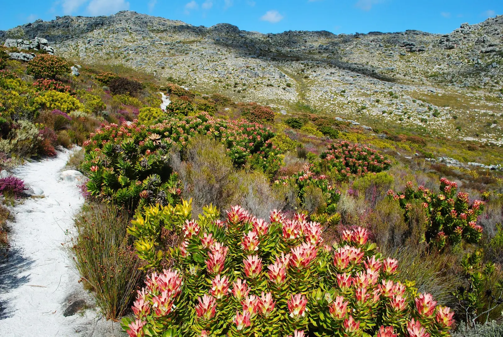 Silvermine Waterfall, photo 7