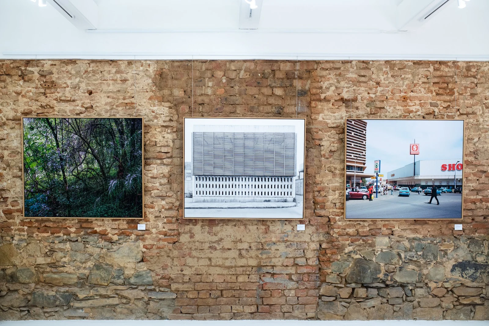 Ultraviolet Gallery, photo 7