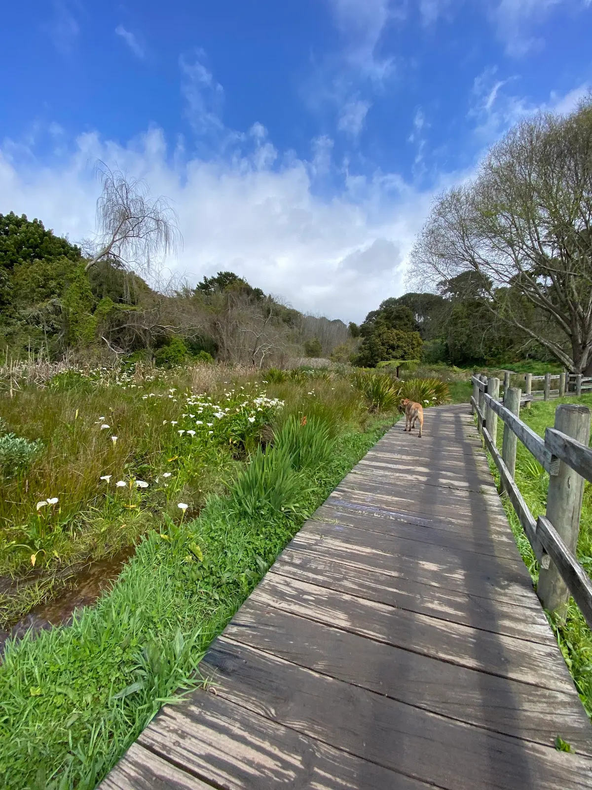 Alphen Trail, photo 7