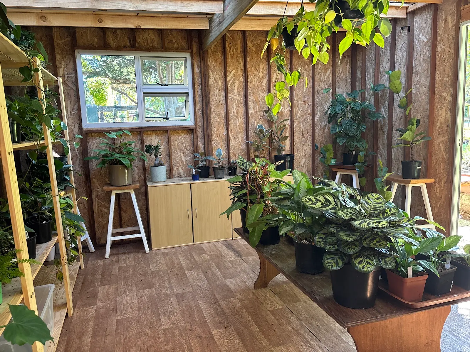 Flourish Plants, photo 8