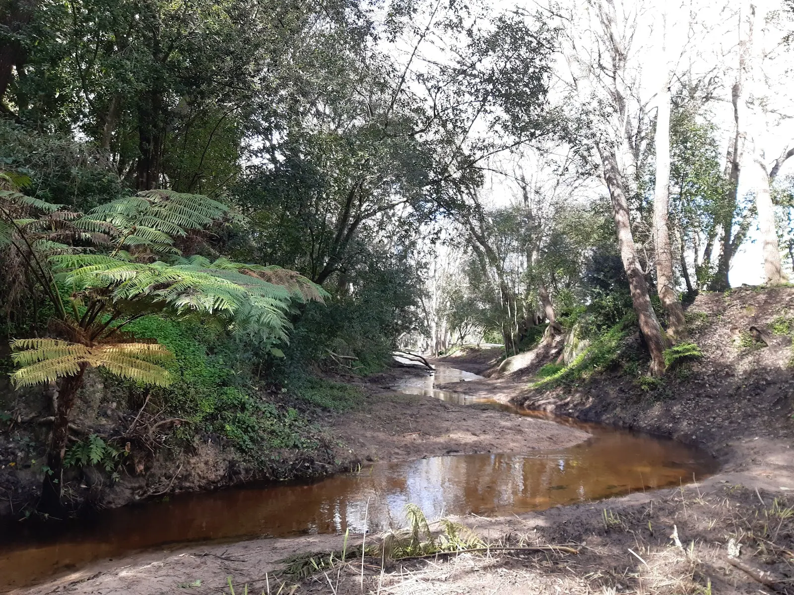 Alphen Trail, photo 2