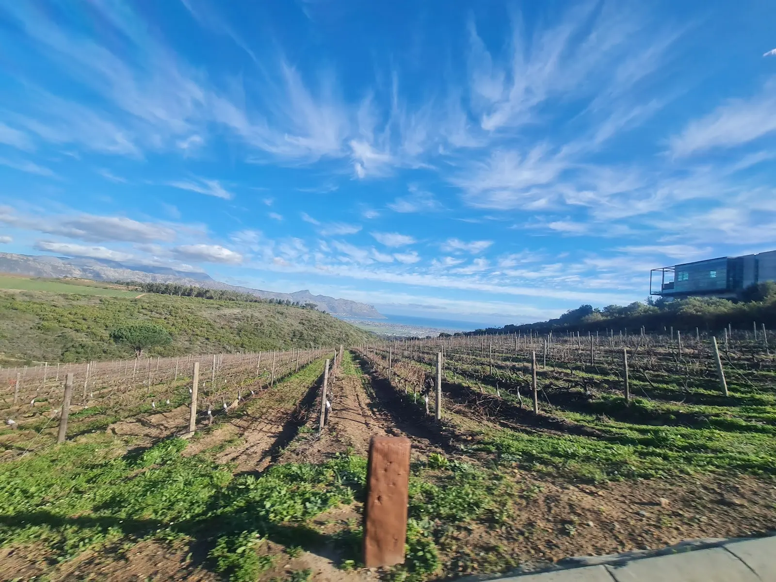 Waterkloof Wine Estate, photo 8