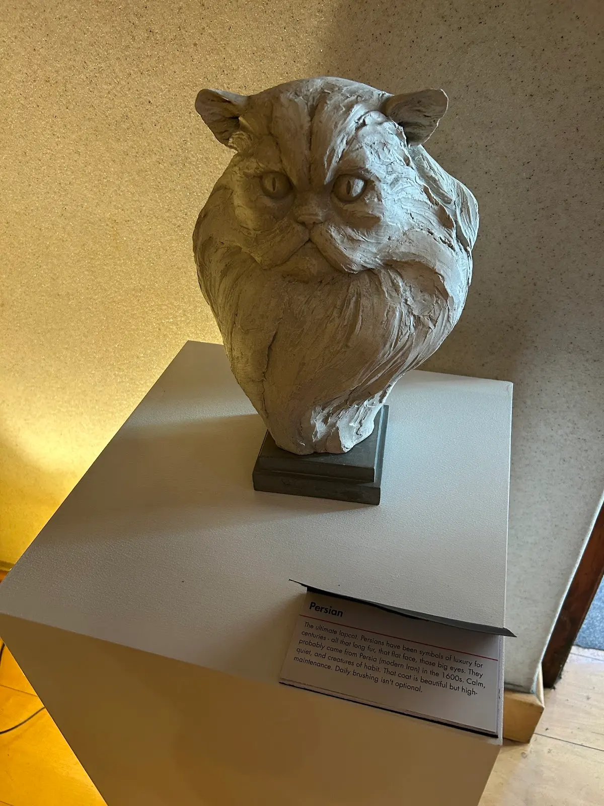 Museum of Dogs, photo 6