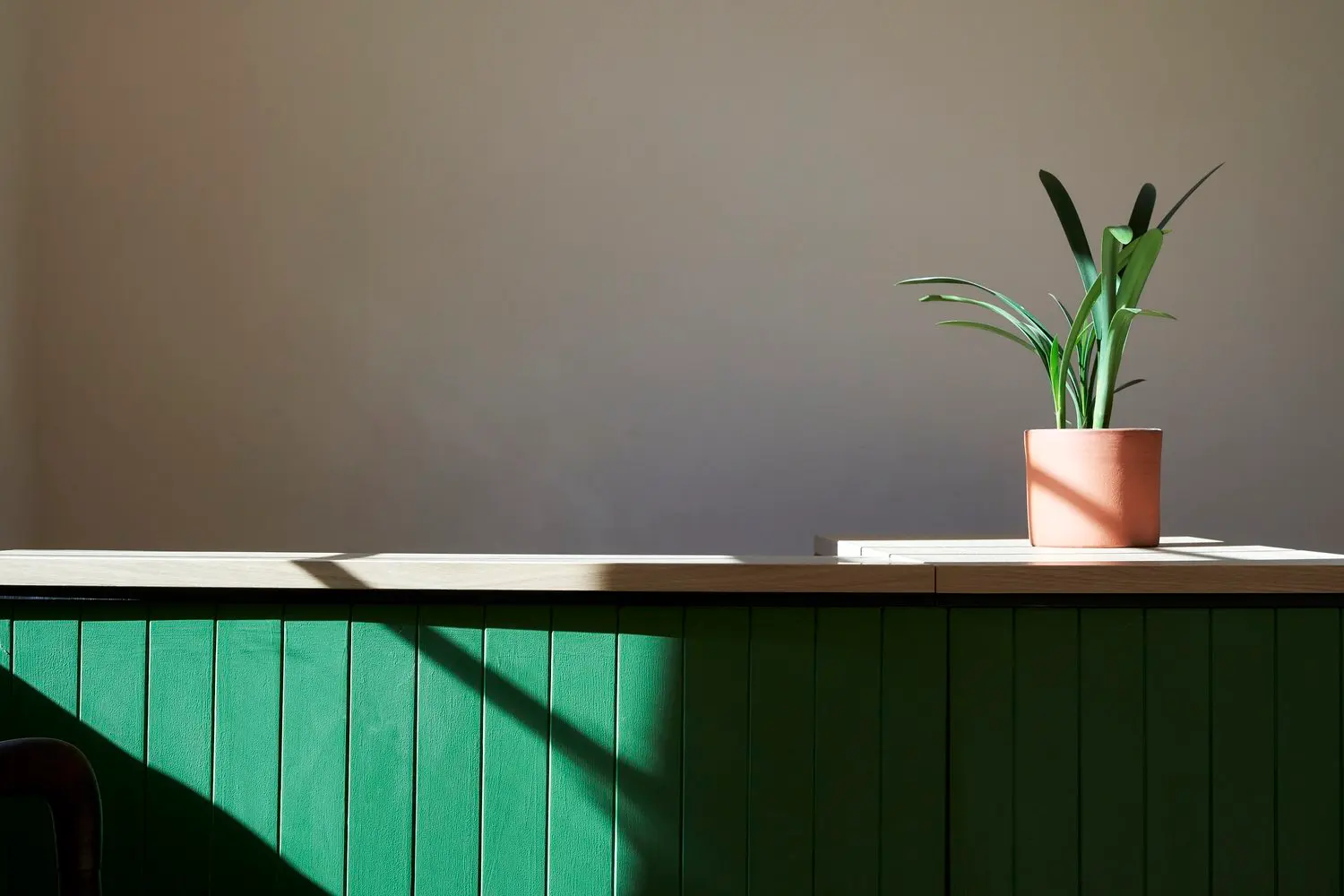 Habitus wellness, photo 4