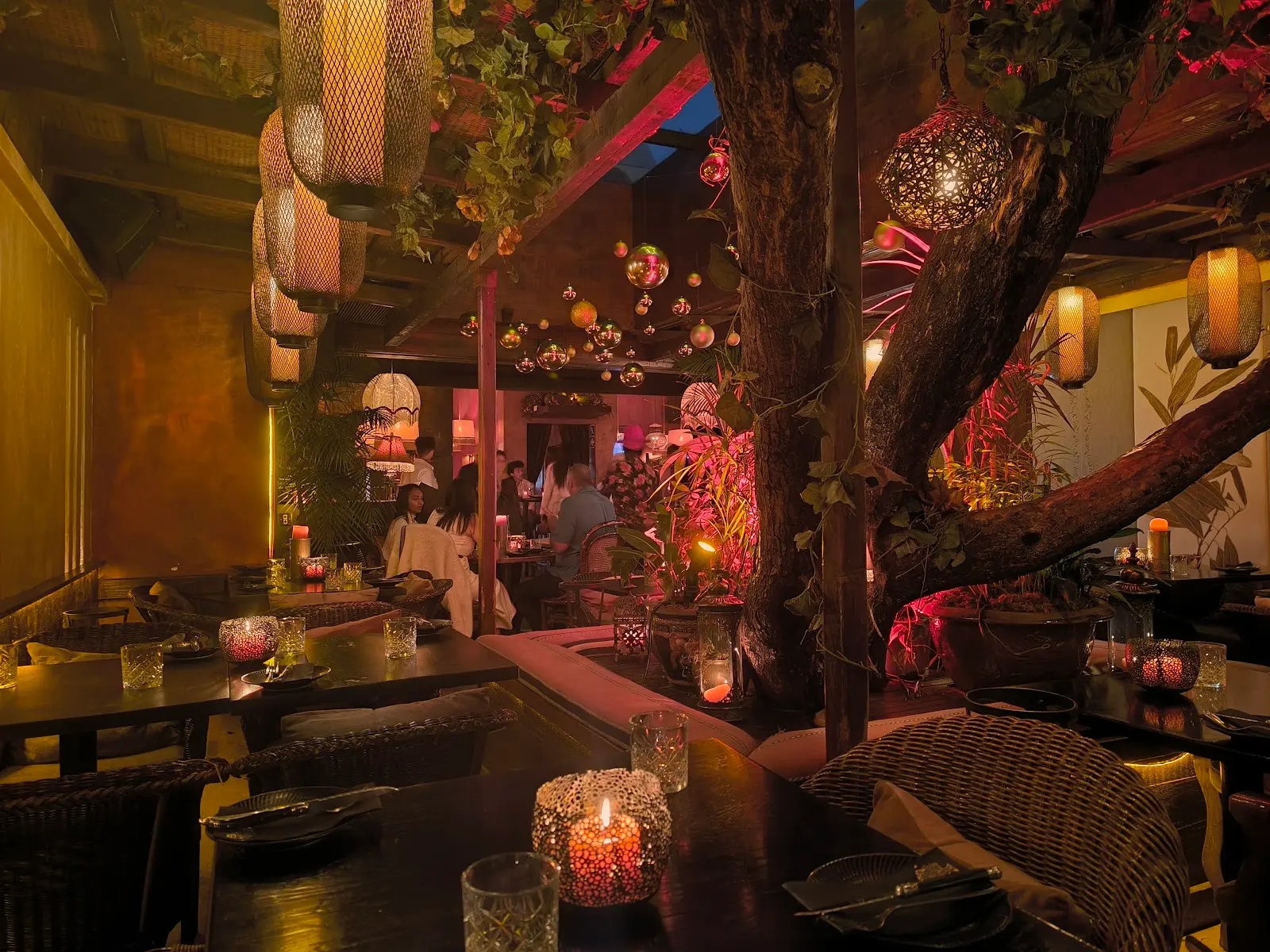 Asoka Restaurant, Bar and Lounge, photo 2