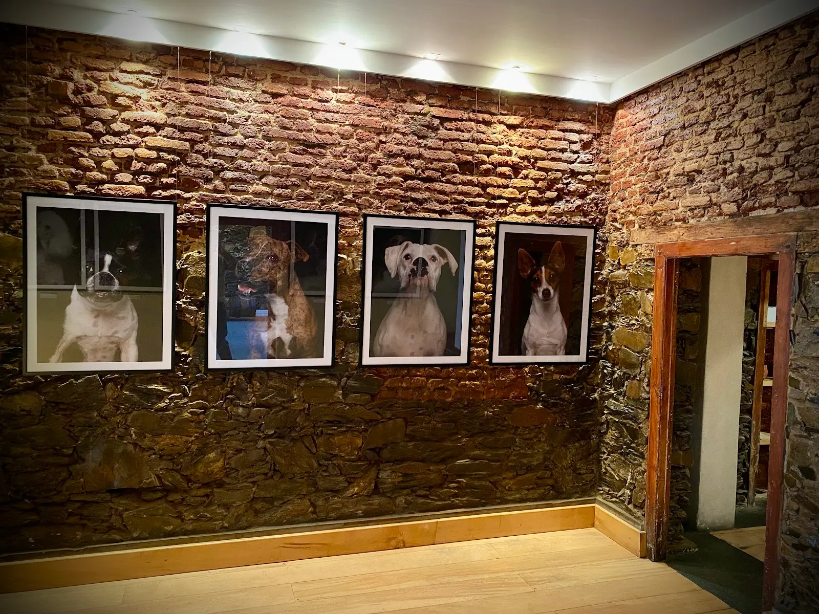 Museum of Dogs, photo 2