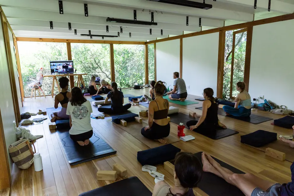Wellness Connection Yoga