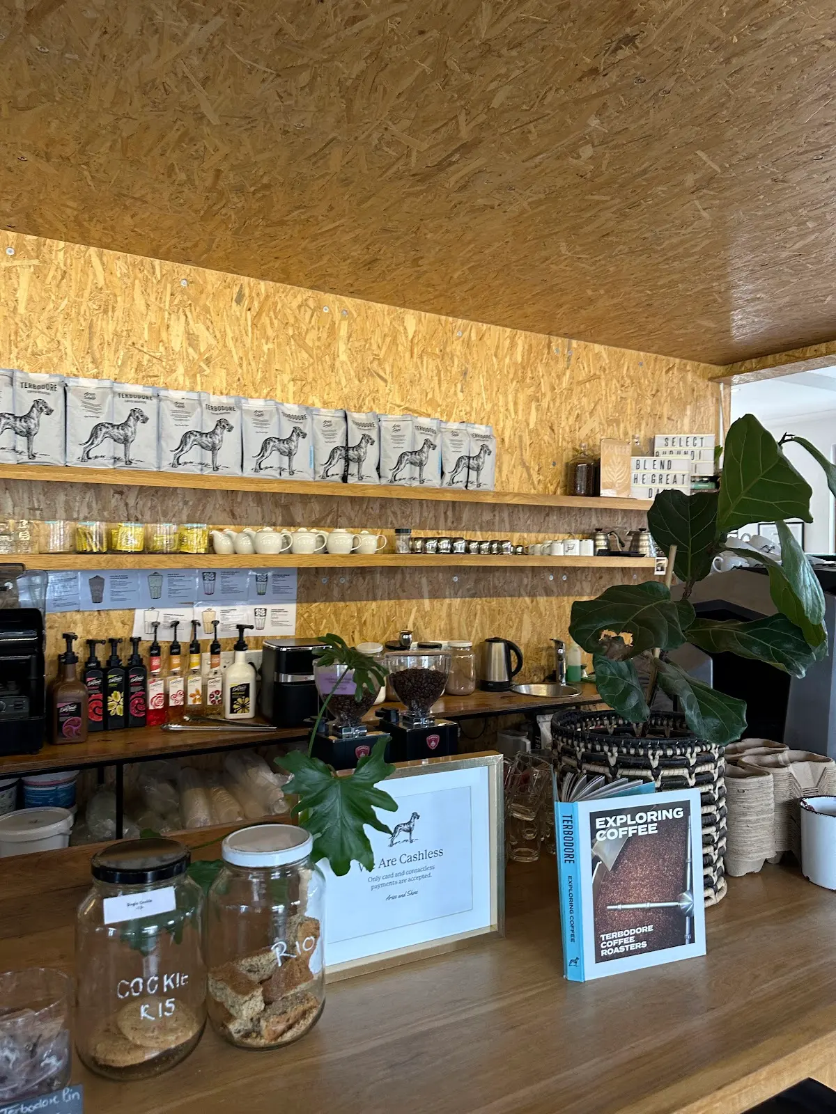 Terbodore Café | Franschhoek, photo 3