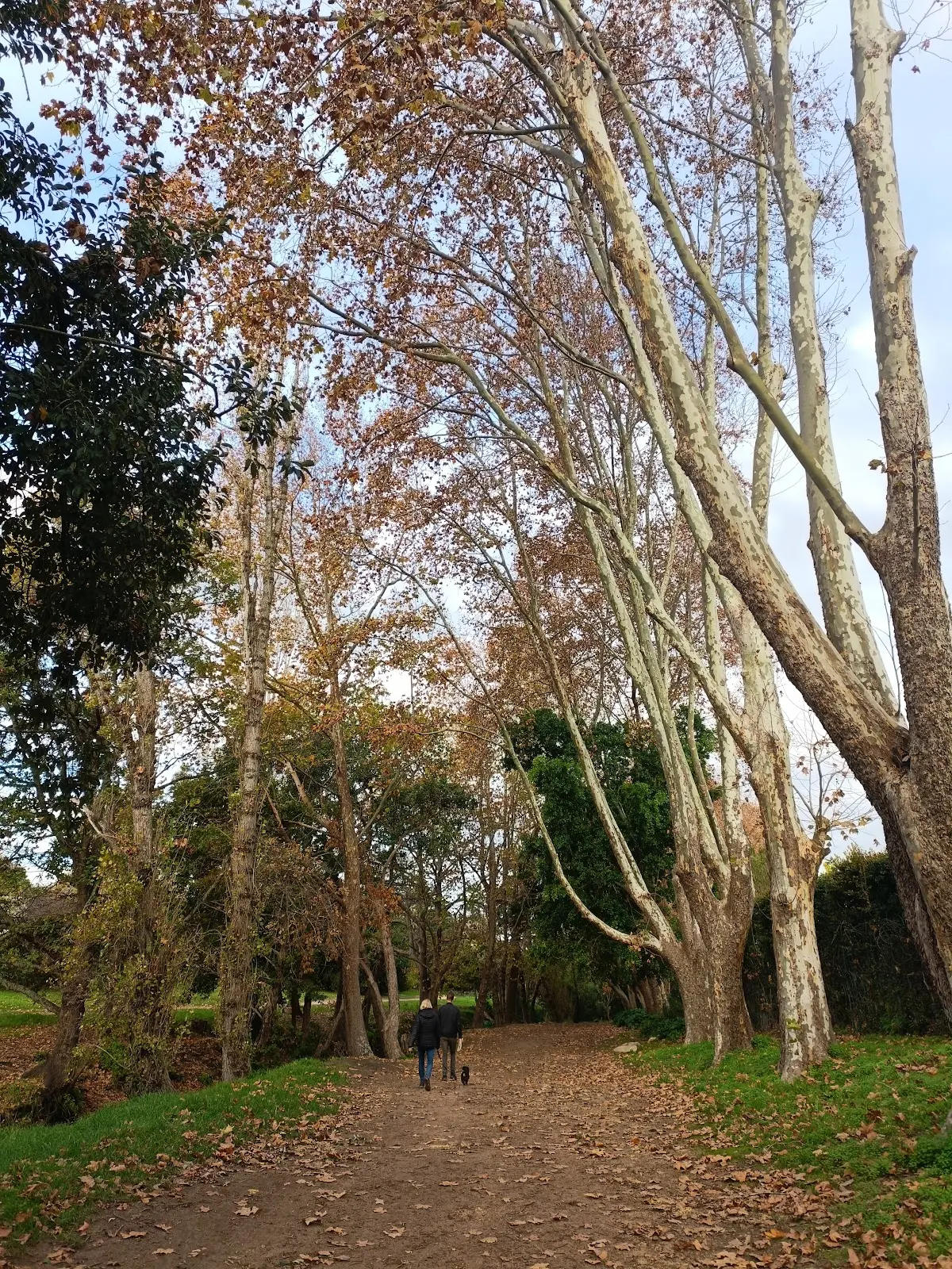 Alphen Trail, photo 6