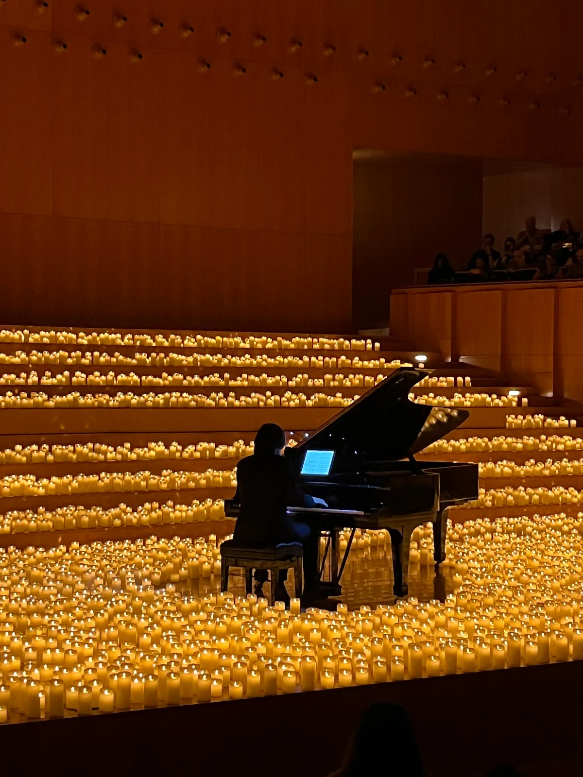 Hugo Lambrechts Music Centre., photo 2