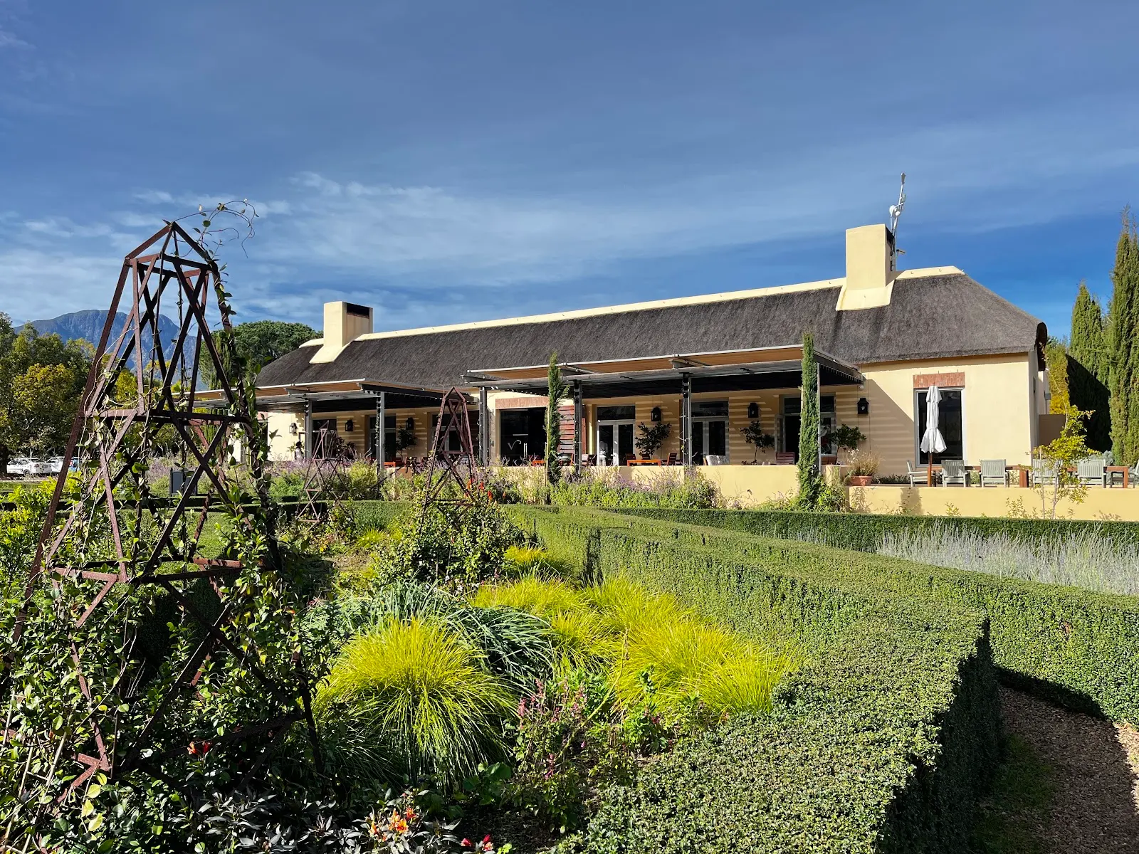 Vergelegen Wine Estate, photo 6