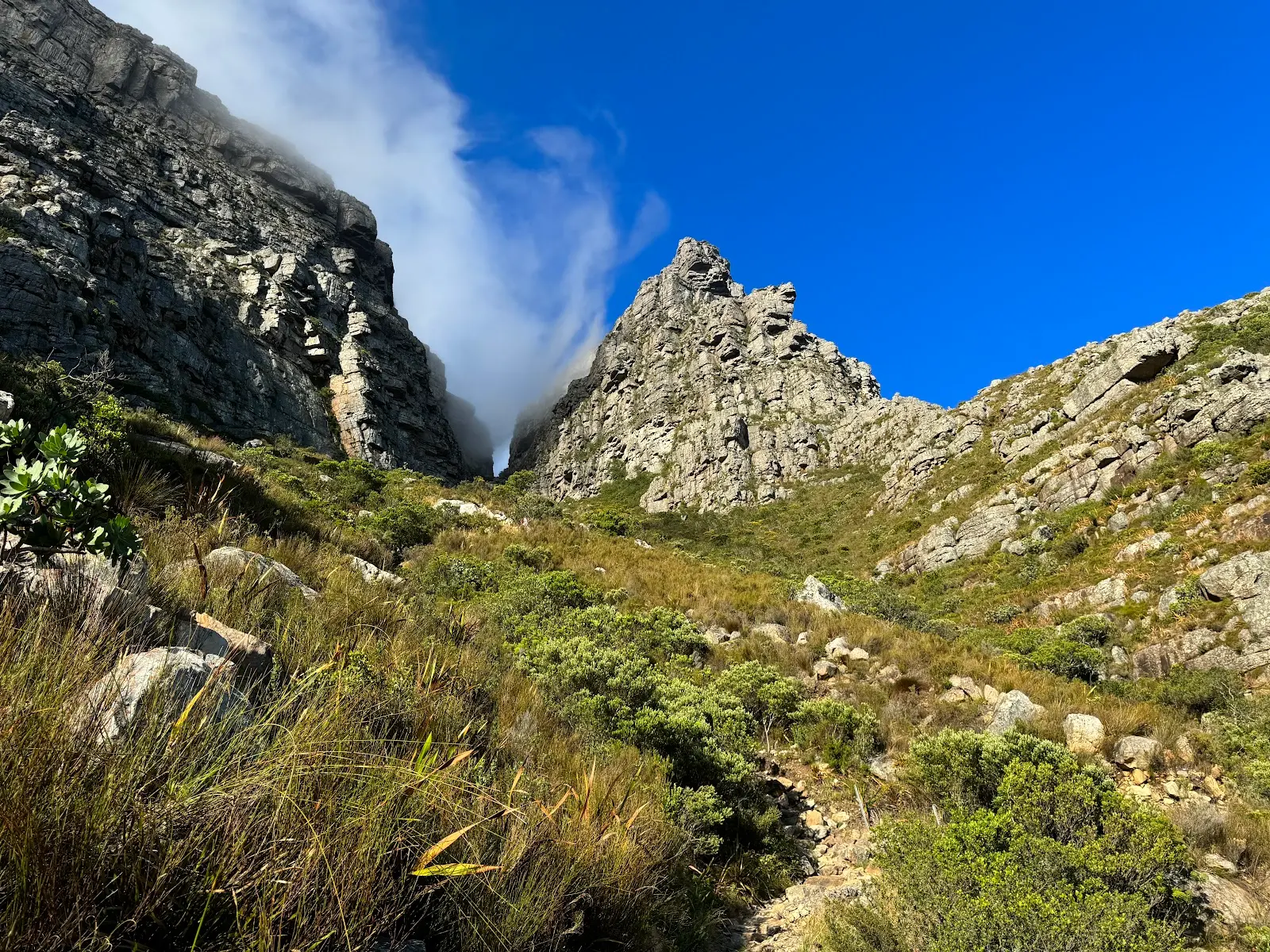 Platteklip Gorge Starting Point, photo 6