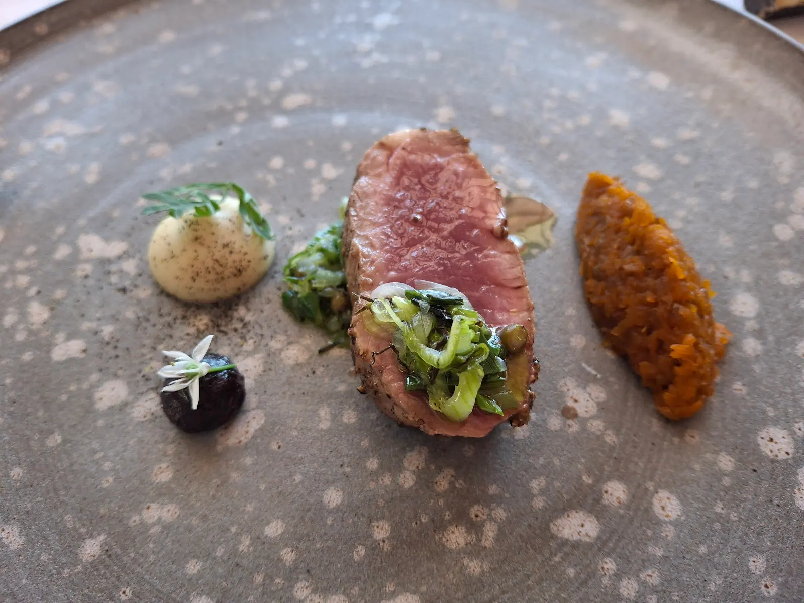 Salsify at the Roundhouse, photo 7