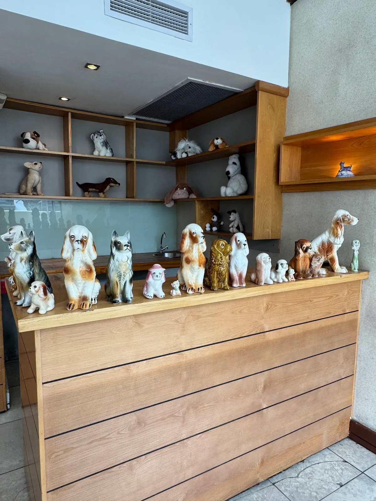 Museum of Dogs, photo 10