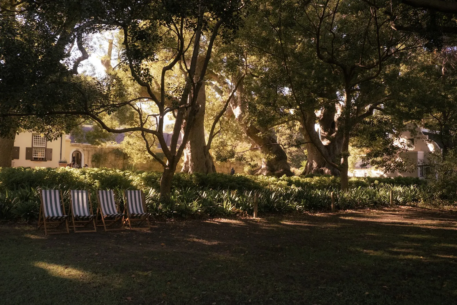 Vergelegen Wine Estate, photo 8