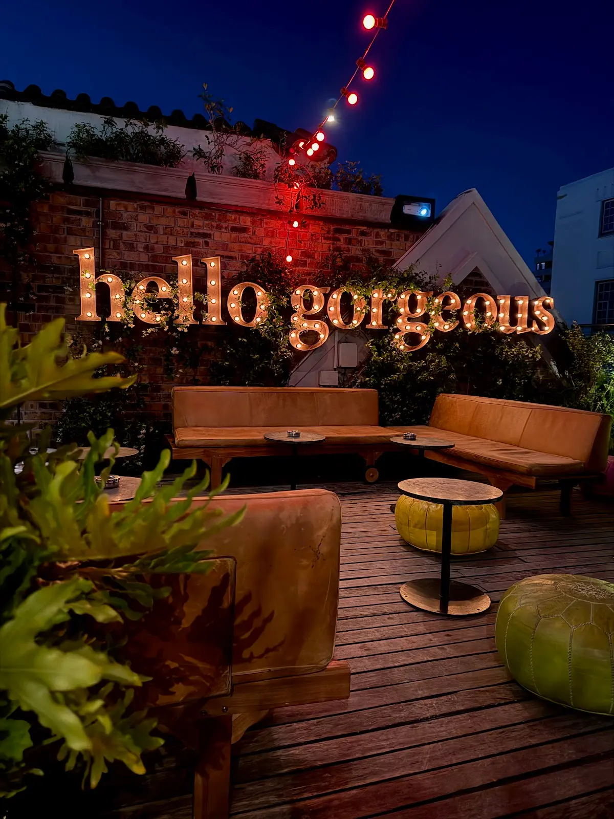 Gigi Rooftop Restaurant & Bar, photo 9