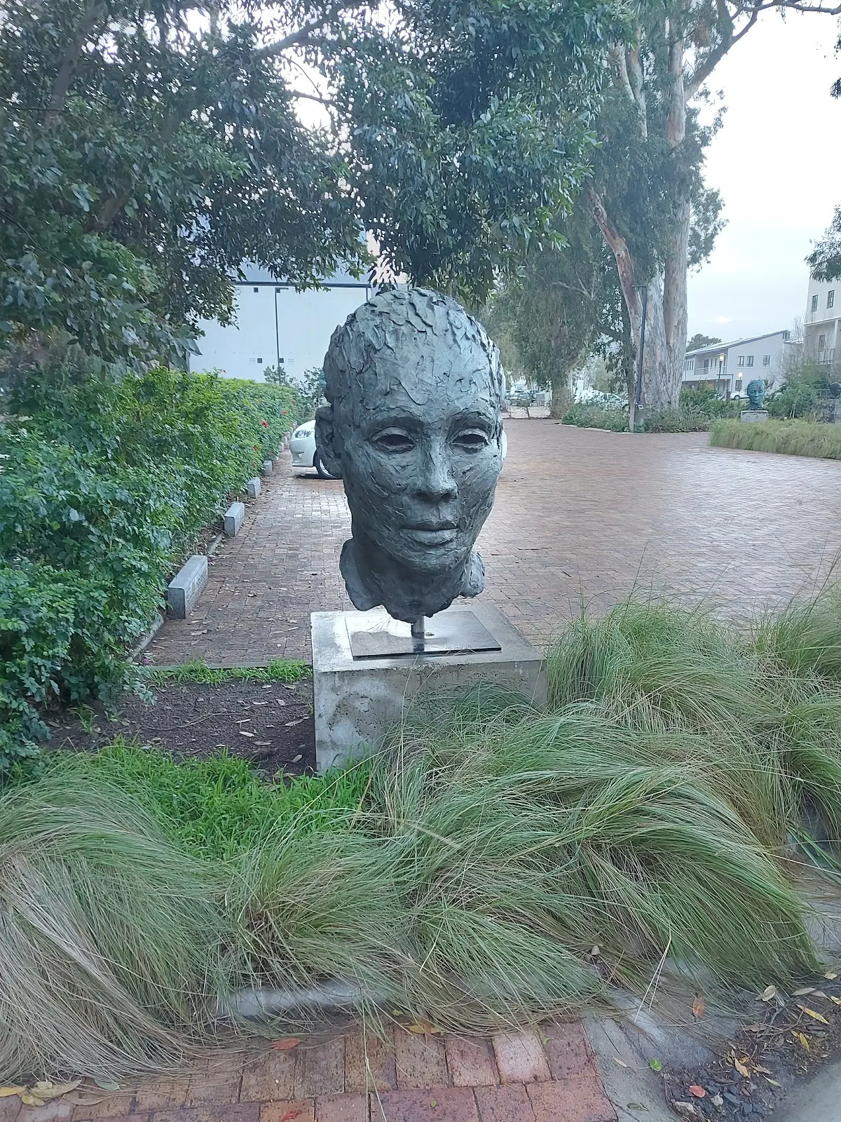 Lionel Smit Studio, photo 6