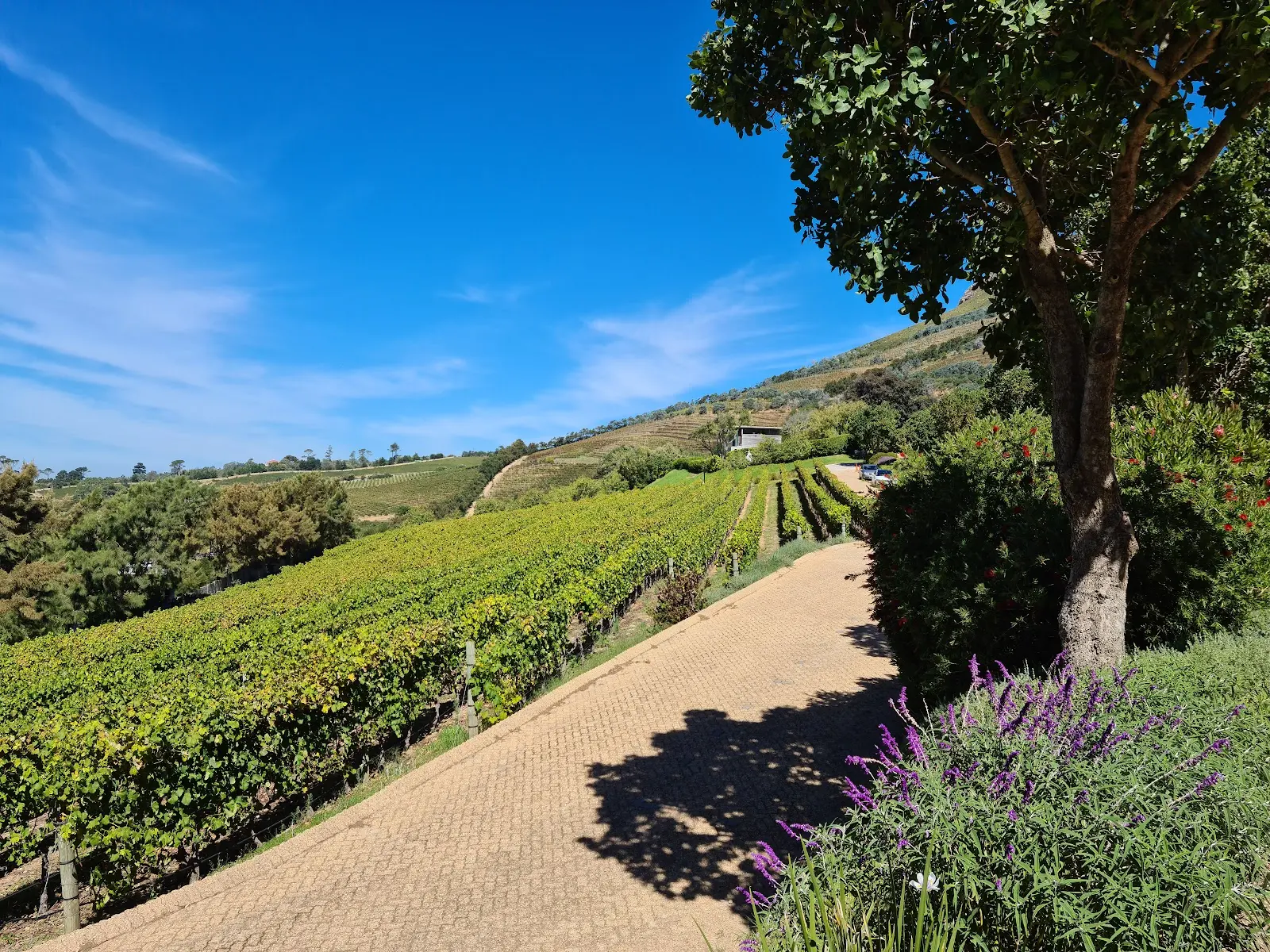 Beau Constantia, photo 3