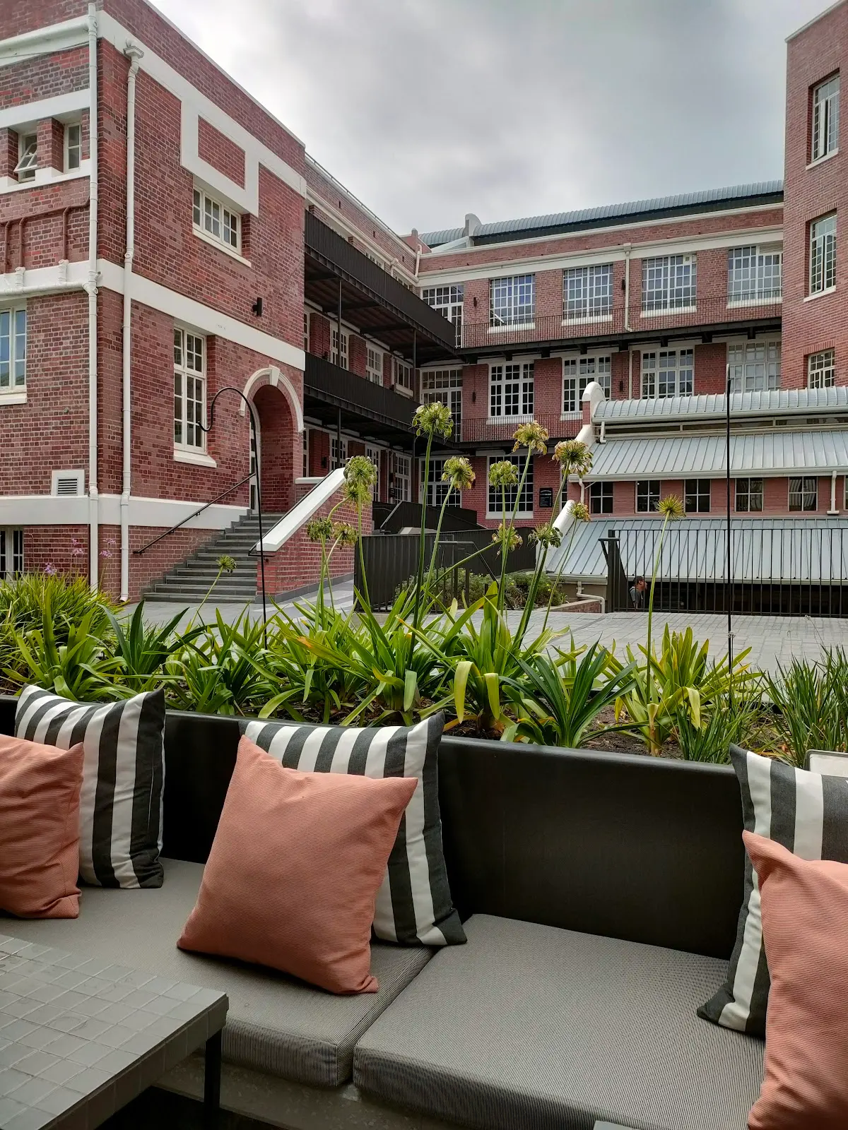 Vine and Dandy, photo 6