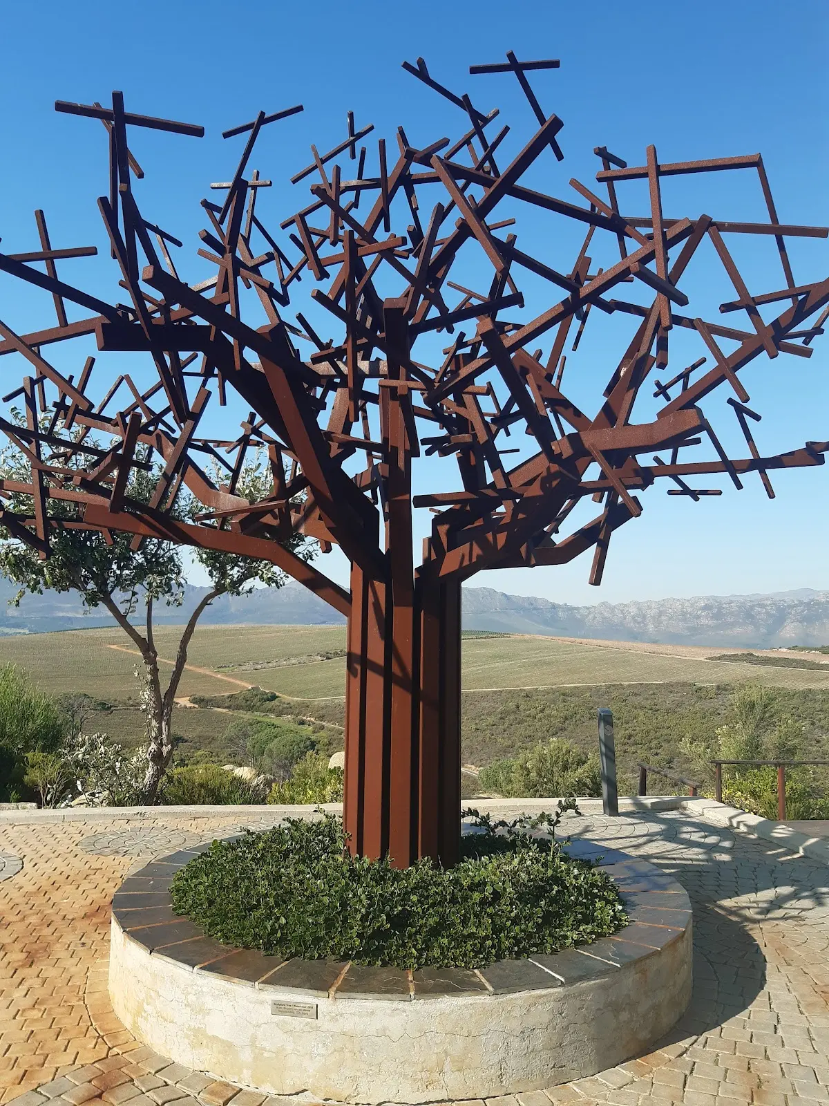 Waterkloof Wine Estate, photo 9