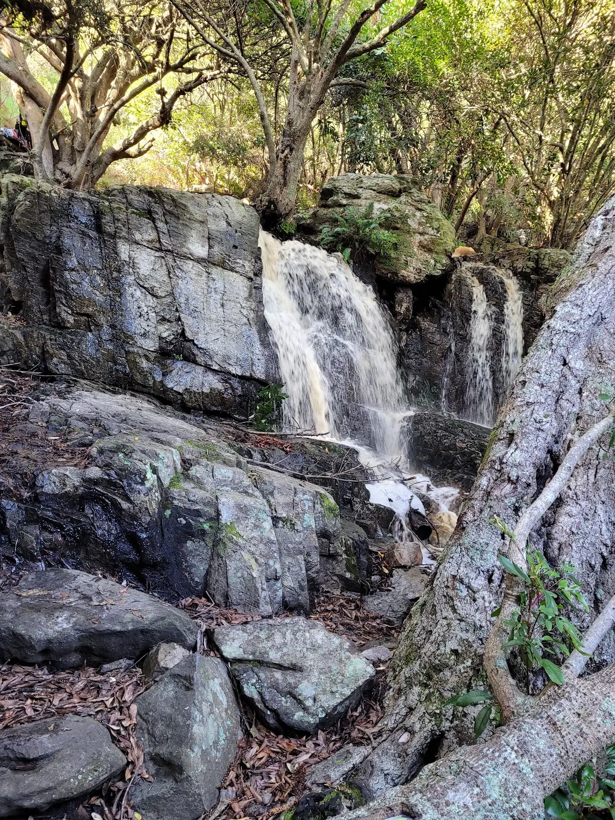 Silvermine Waterfall, photo 6