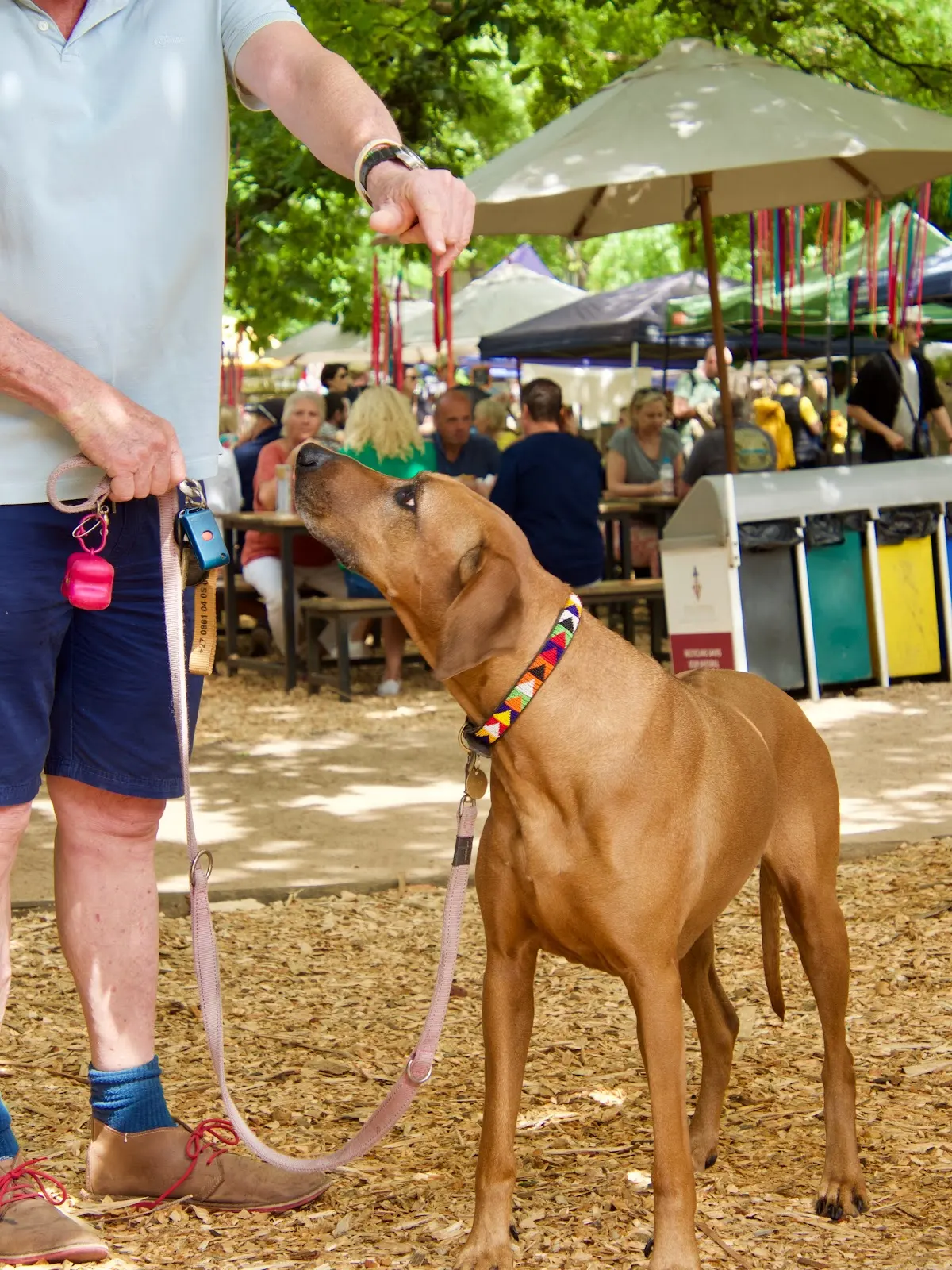 Franschhoek Village Market, photo 10