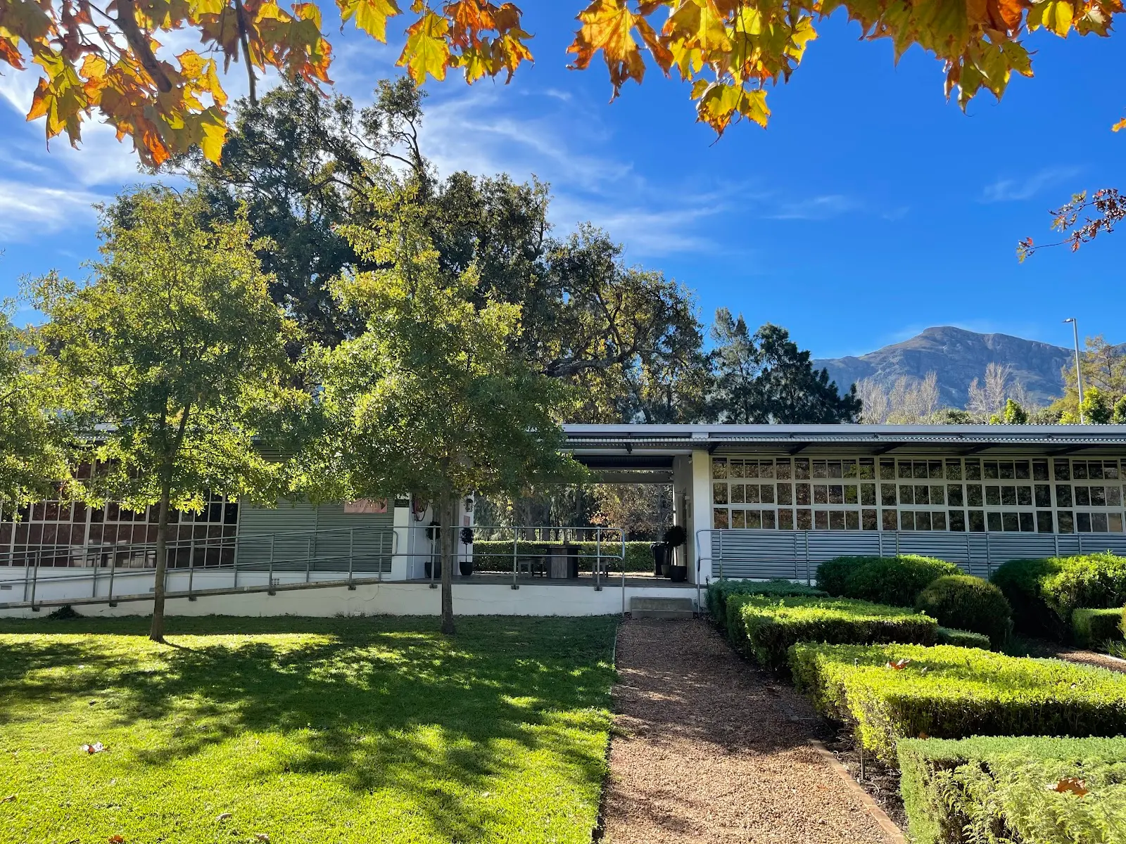Muse Gallery Franschhoek, photo 5