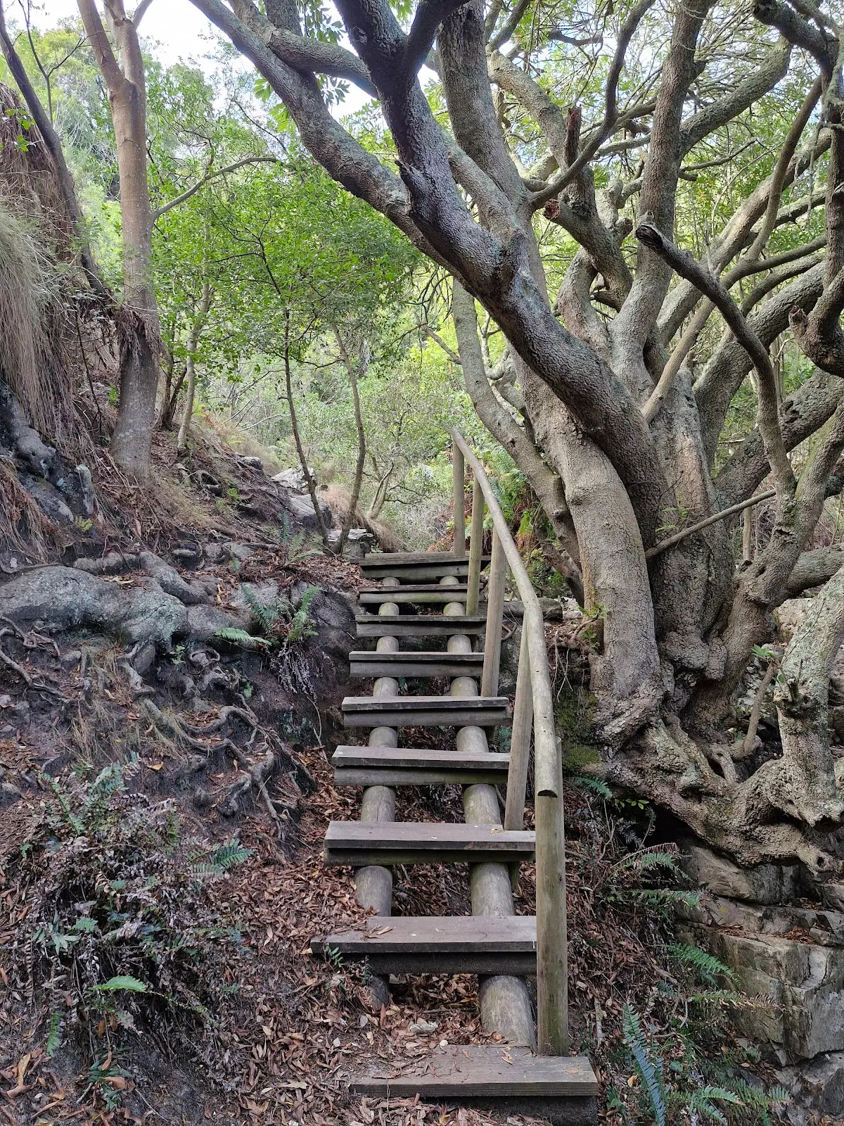 Silvermine Waterfall, photo 9