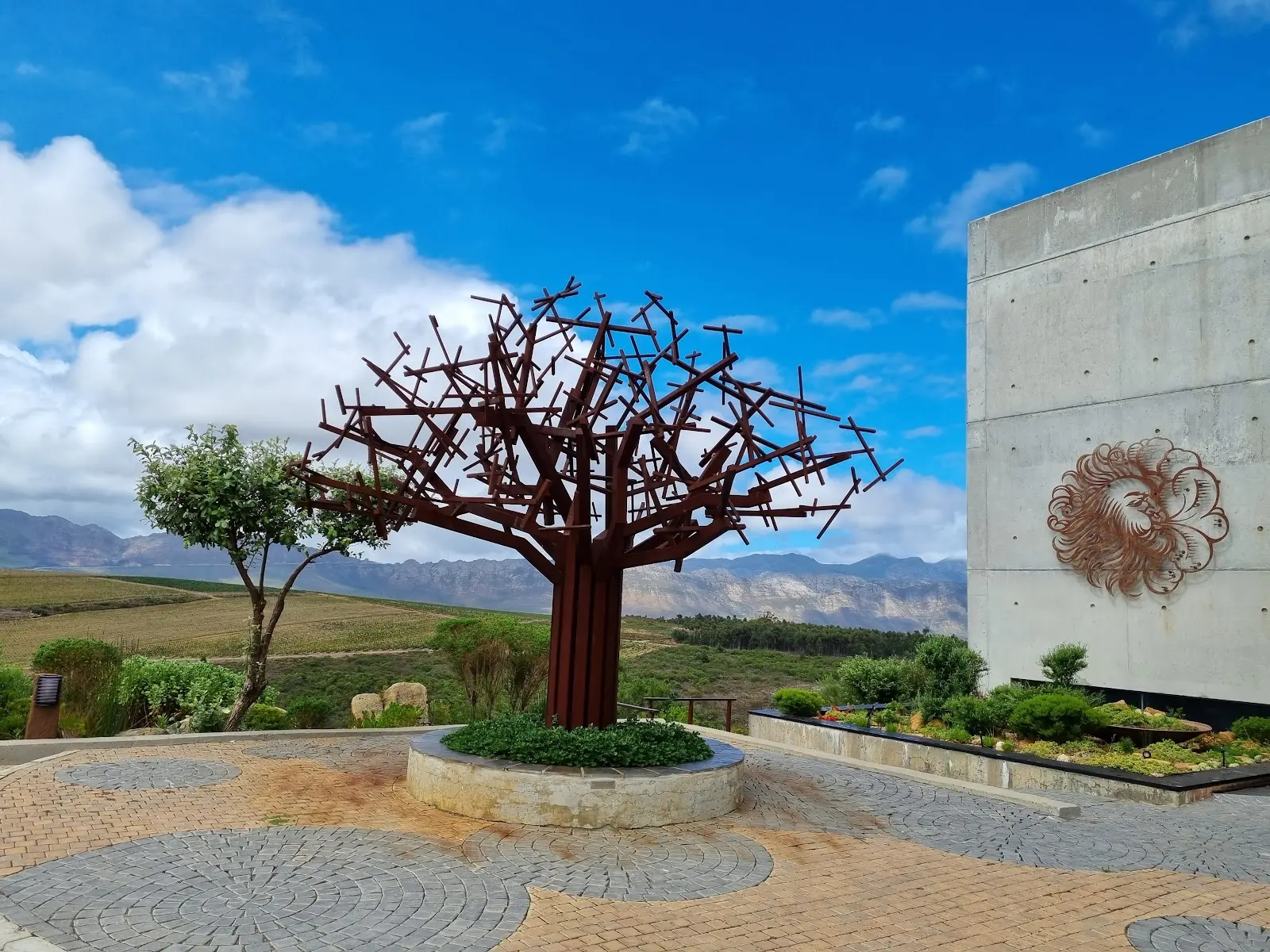 Waterkloof Wine Estate, photo 3