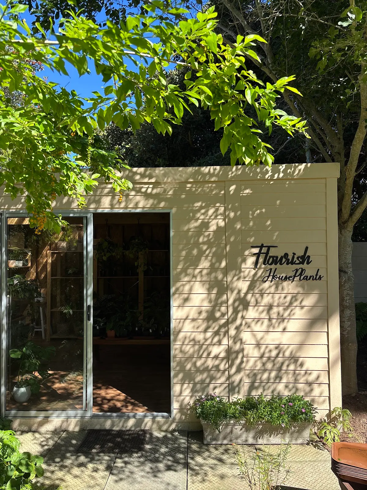 Flourish Plants, photo 5