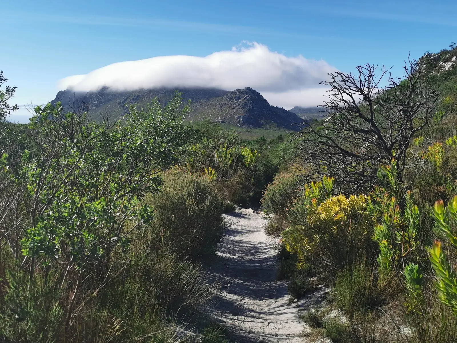 Silvermine Nature Reserve, photo 7