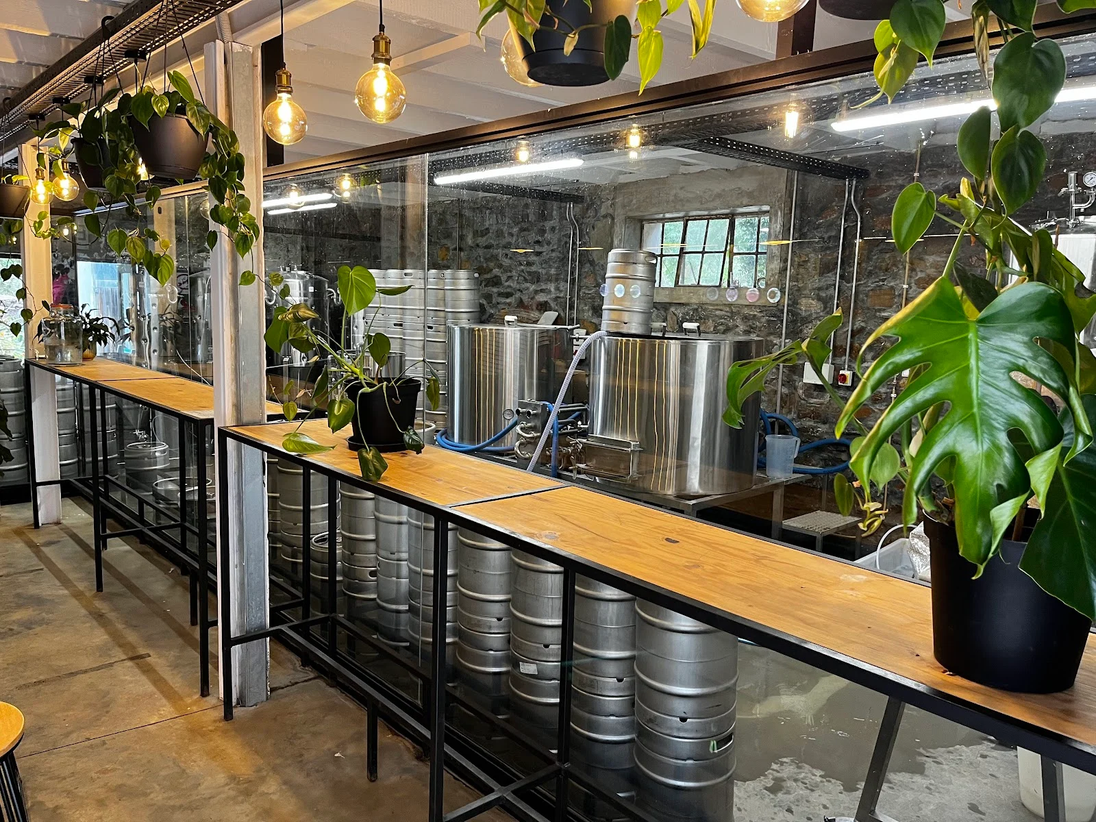 Starke Brews, photo 4