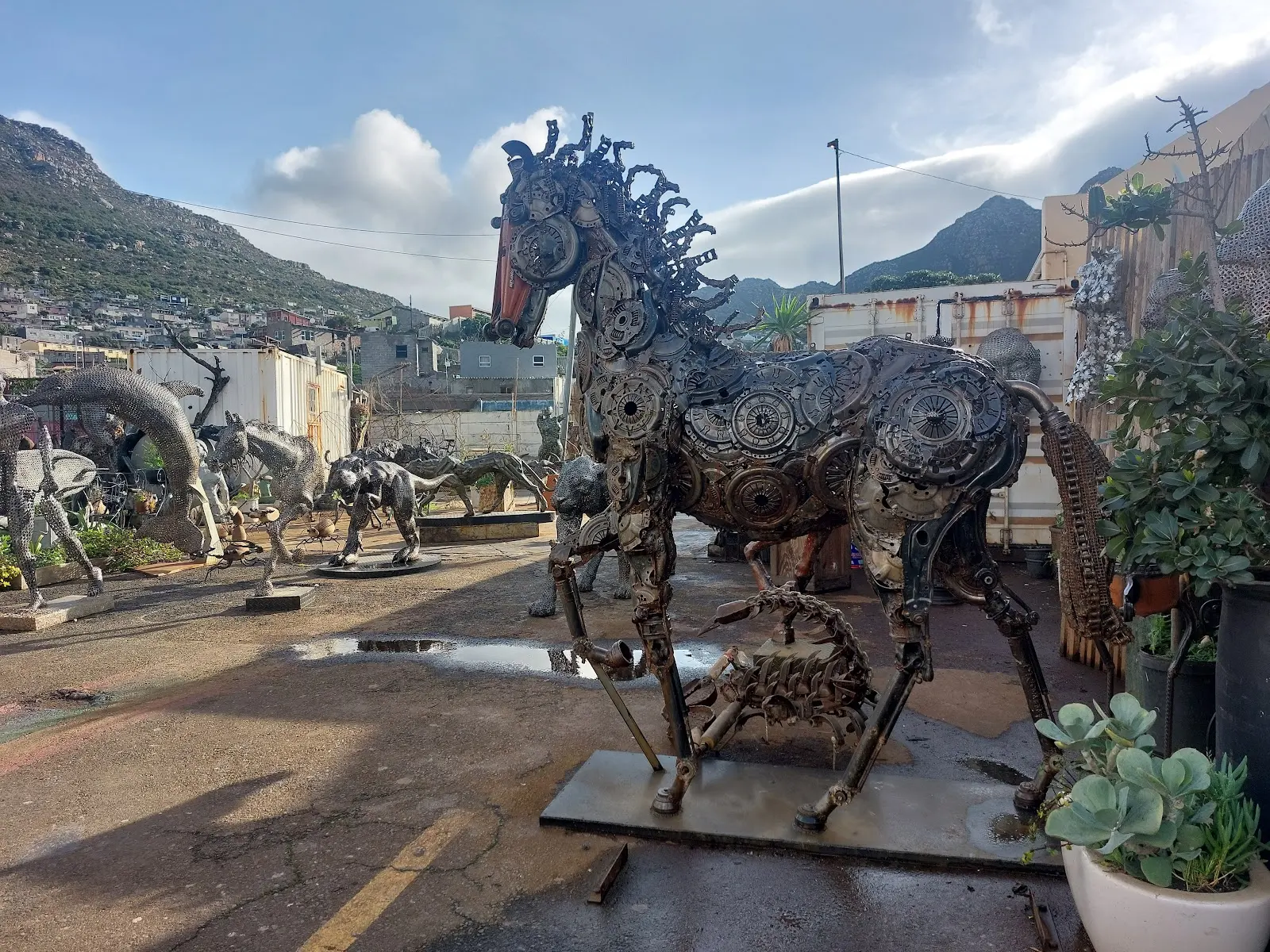 Fine Art Africa Gallery, photo 4