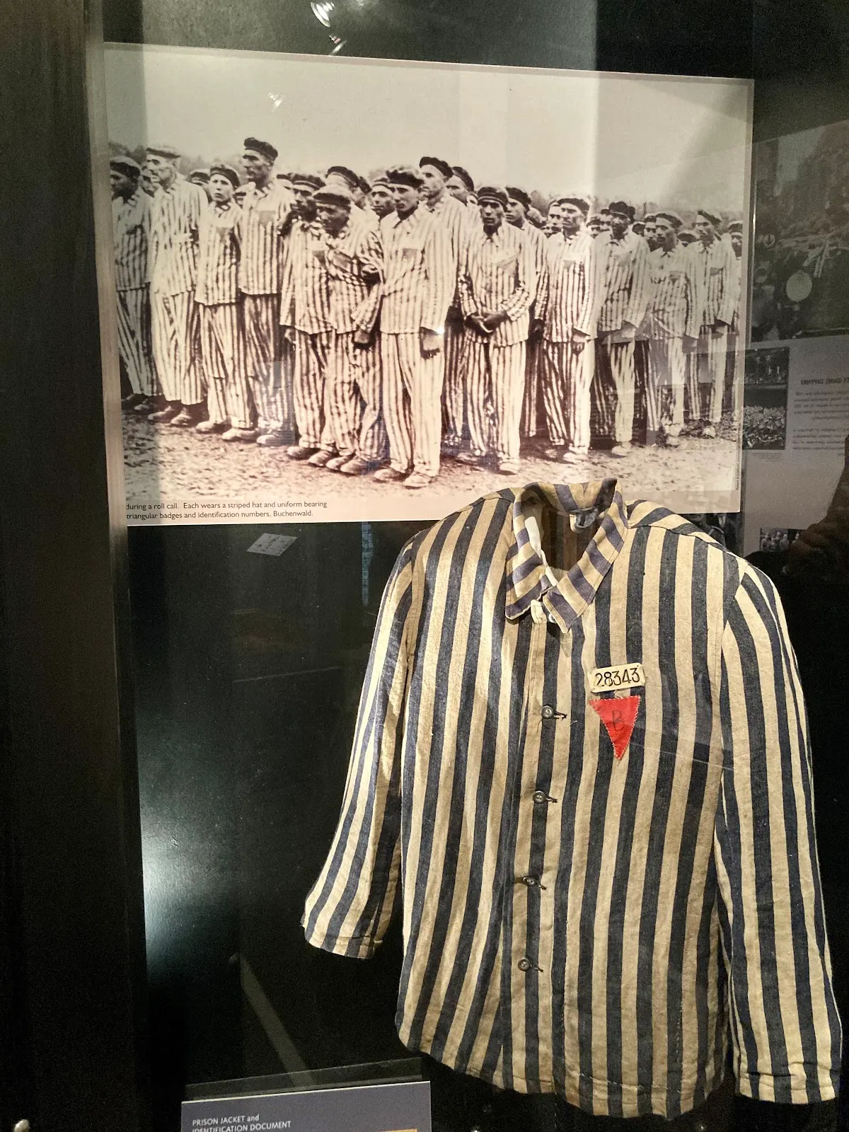 Cape Town Holocaust & Genocide Centre, photo 5