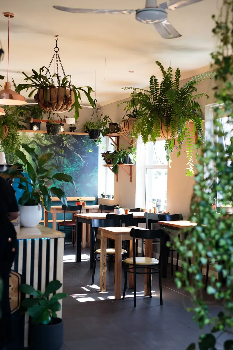 Selva Cafe & Co.