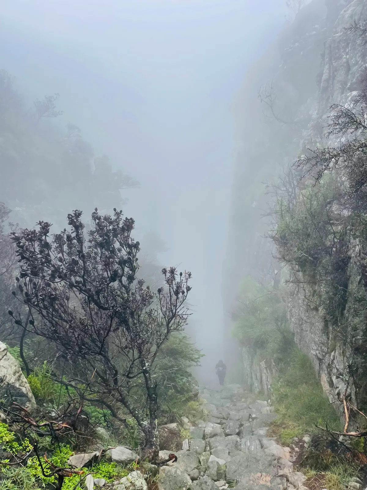 Platteklip Gorge Starting Point, photo 9