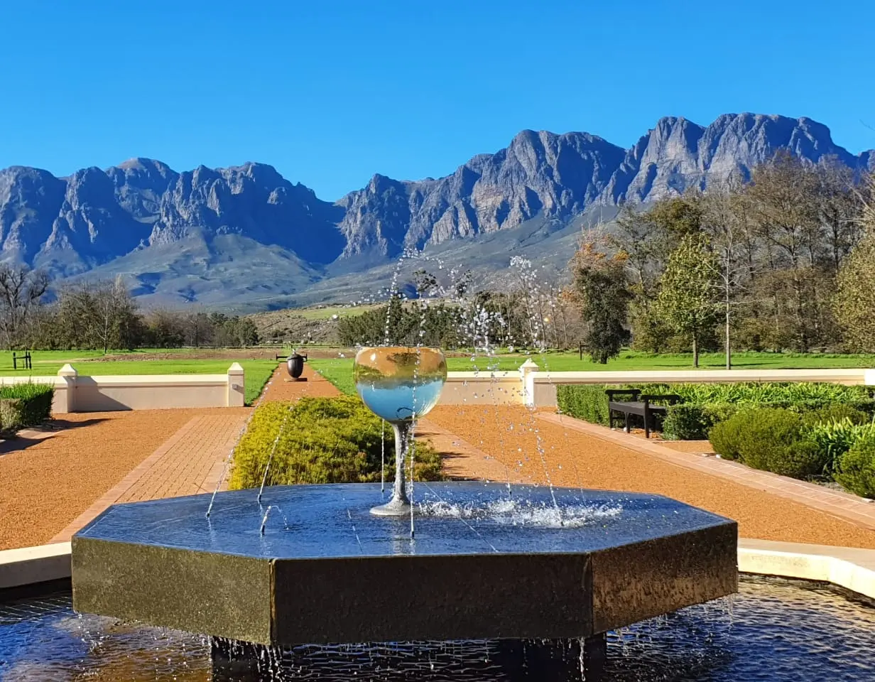 Vergelegen Wine Estate, photo 7