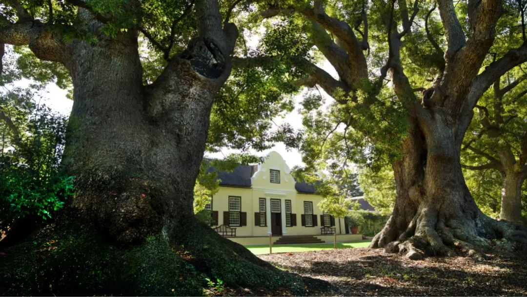 Vergelegen Wine Estate, photo 2