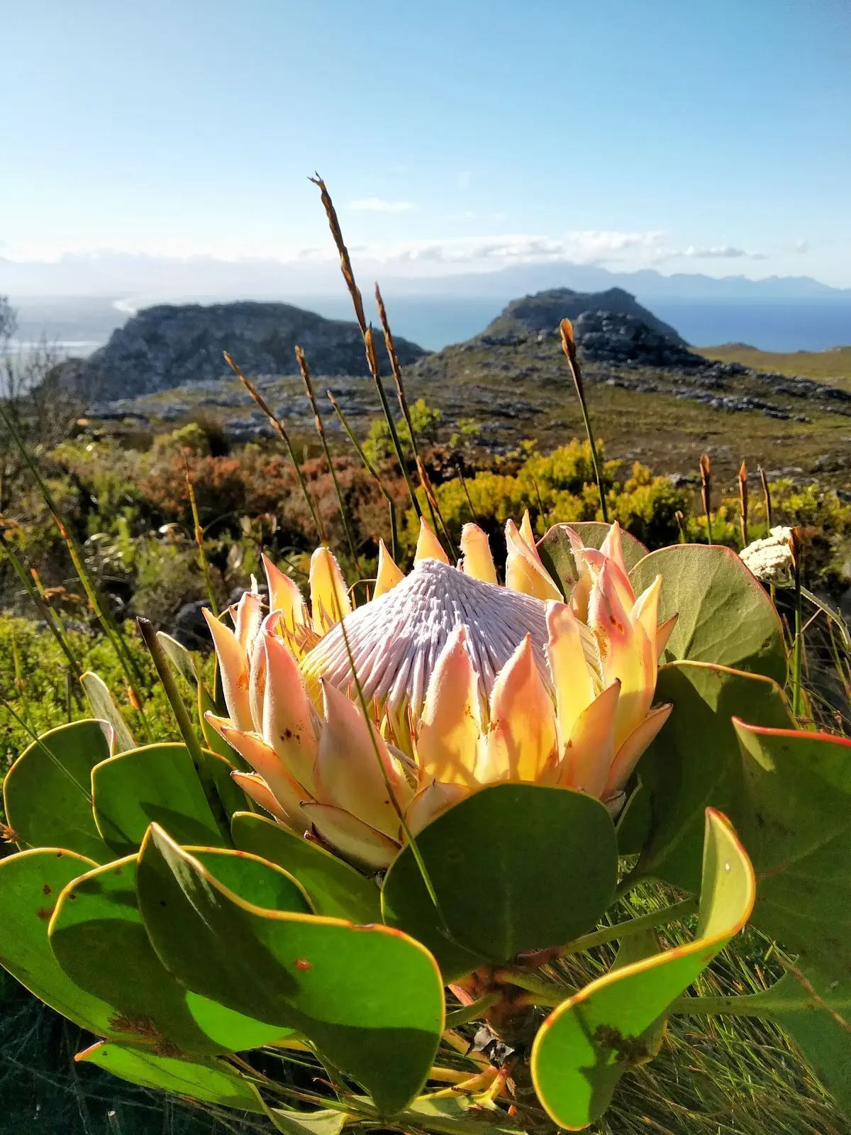 Silvermine Waterfall, photo 8