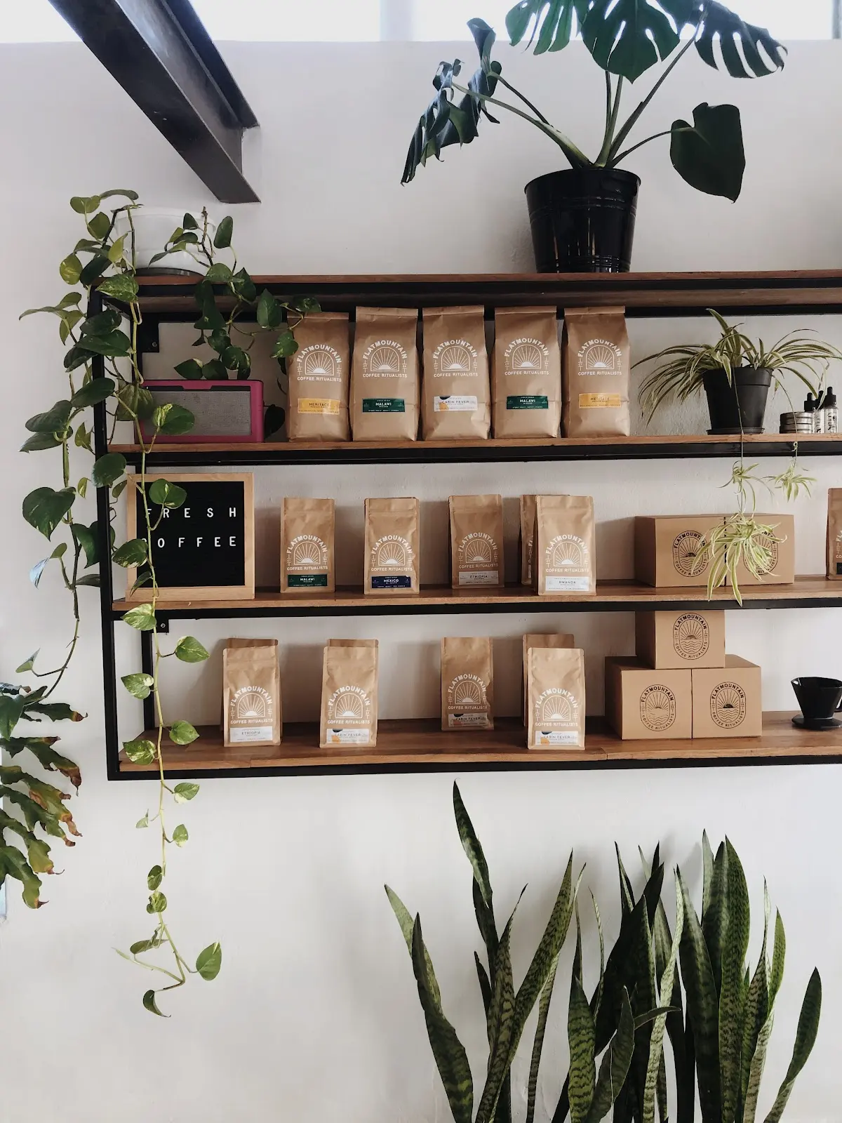 Flatmountain Coffee Roasters, photo 8