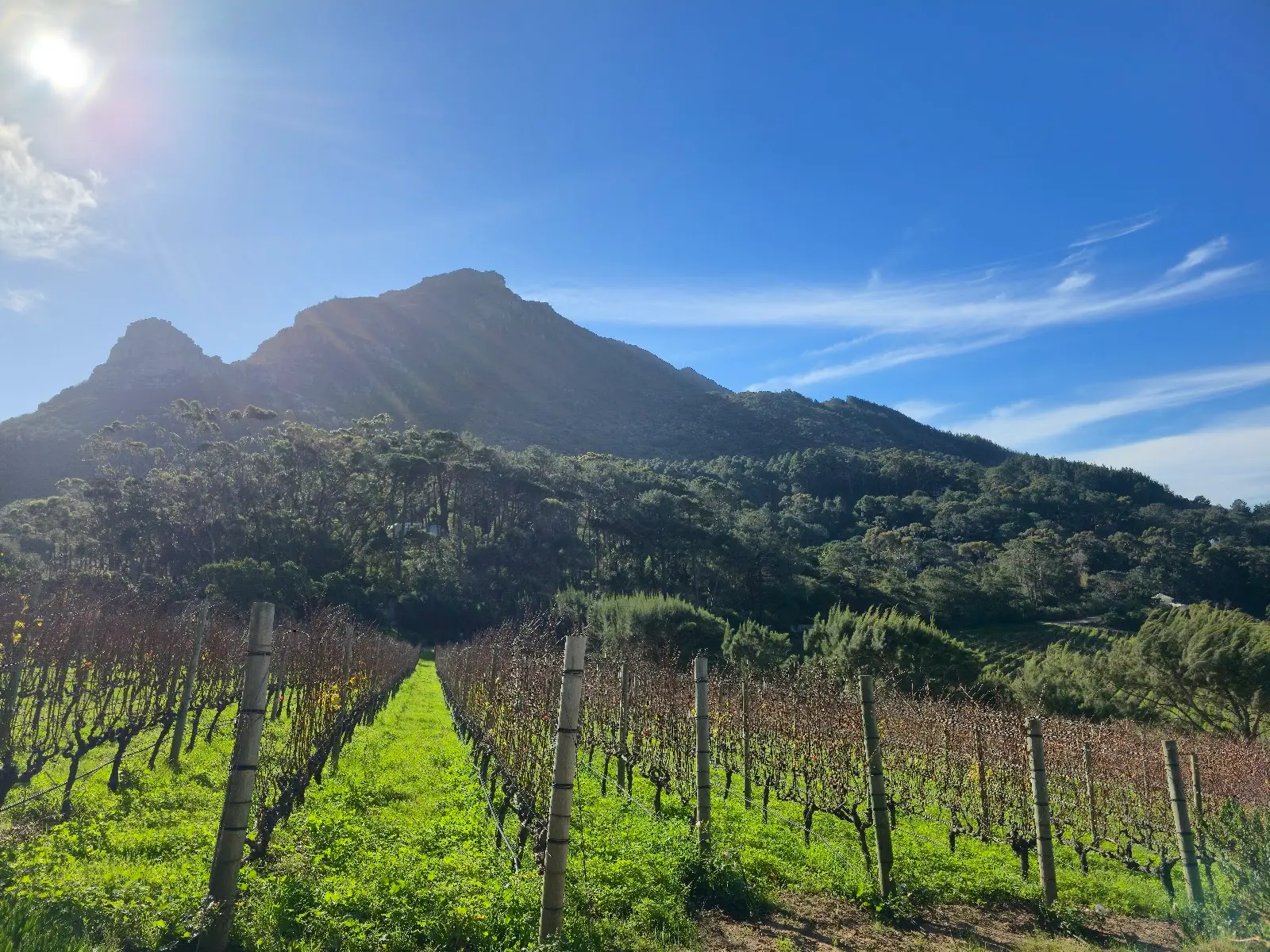 Beau Constantia, photo 4