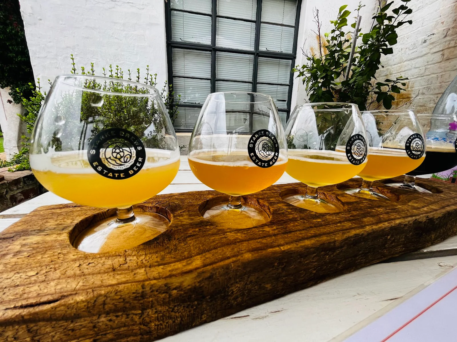 Starke Brews, photo 5