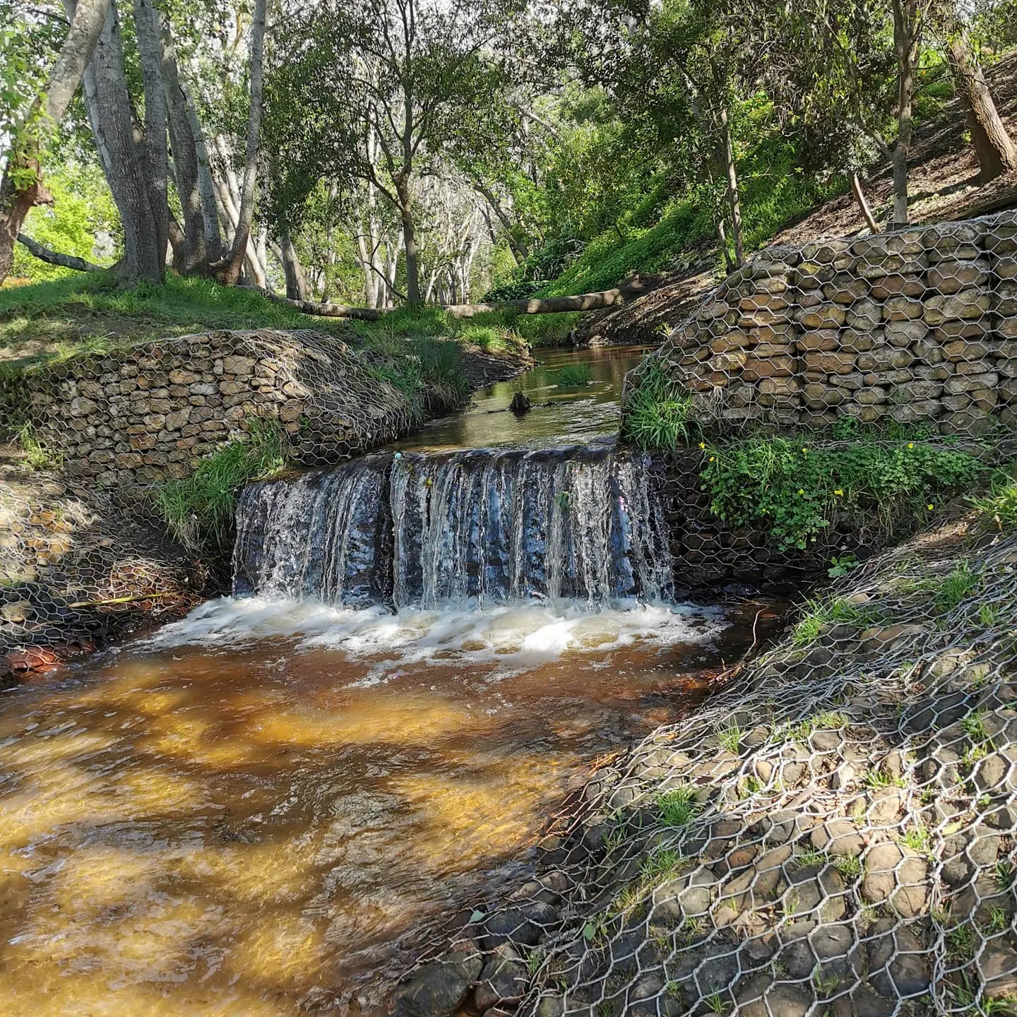 Alphen Trail, photo 10