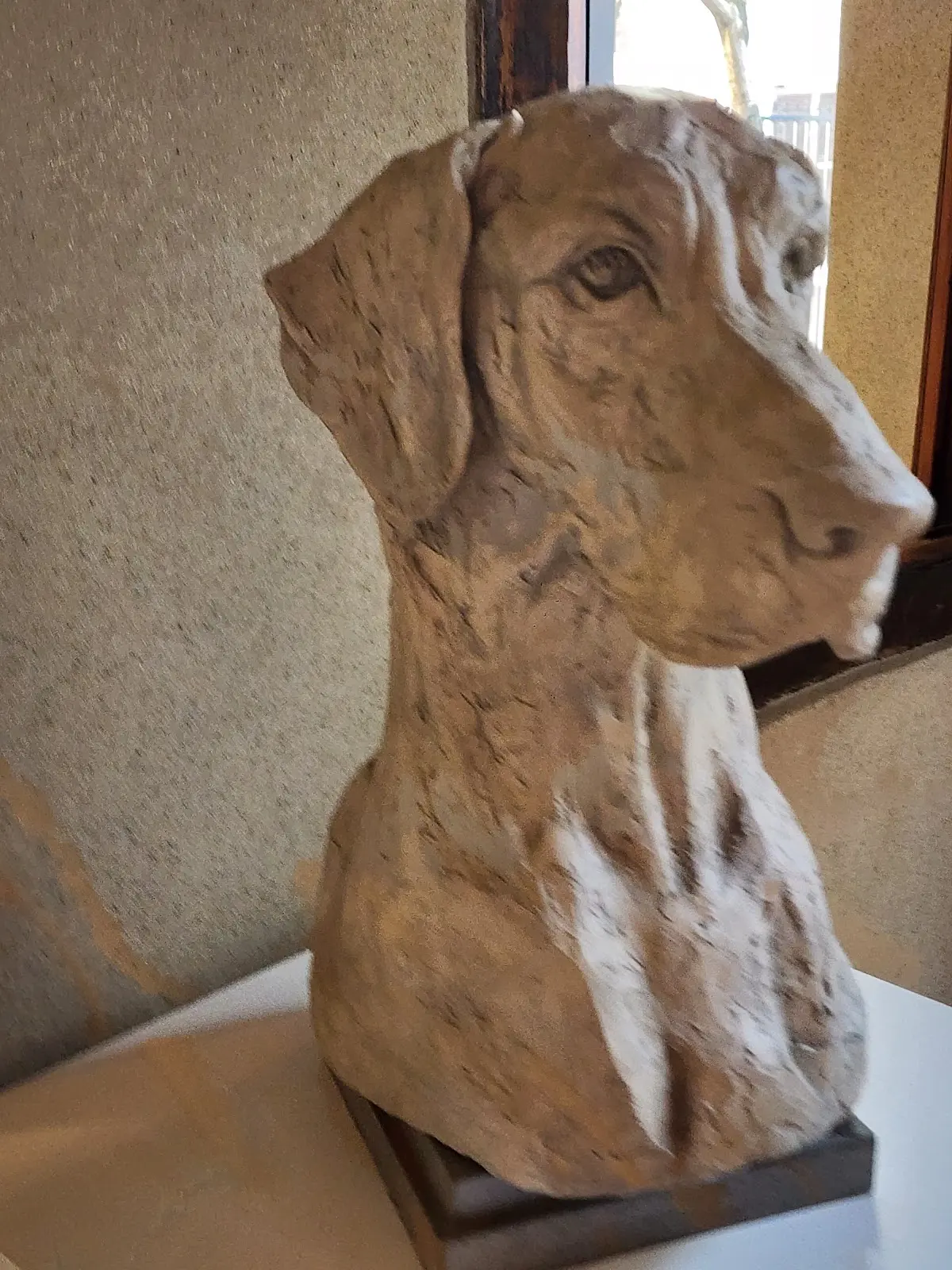 Museum of Dogs, photo 8
