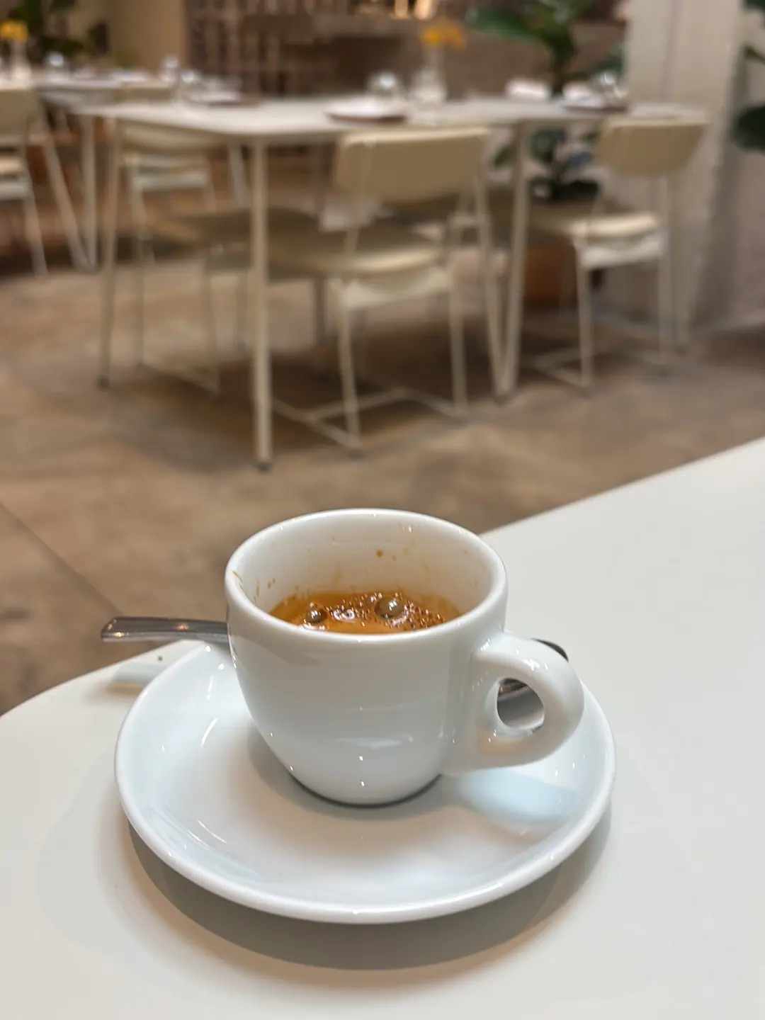Rosetta Roastery (Gardens), photo 3
